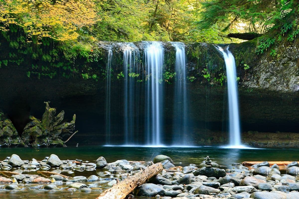 Elgin Waterfall & Railway Rail Hike