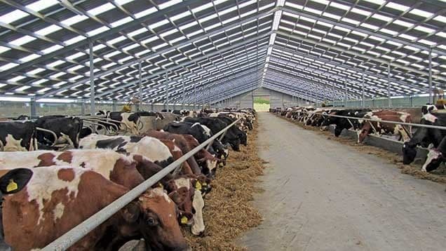 Highland Milk Processing Factory