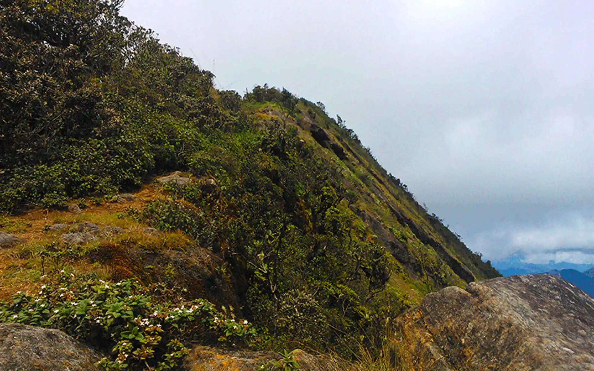 Kirigalpotta Mountain Trail